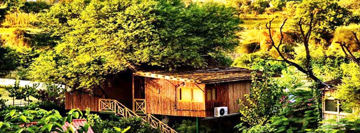 The Tree House & Water House Resort - Jaipur 01.jpg